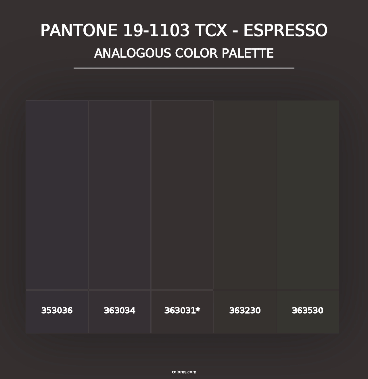 PANTONE 19-1103 TCX - Espresso - Analogous Color Palette