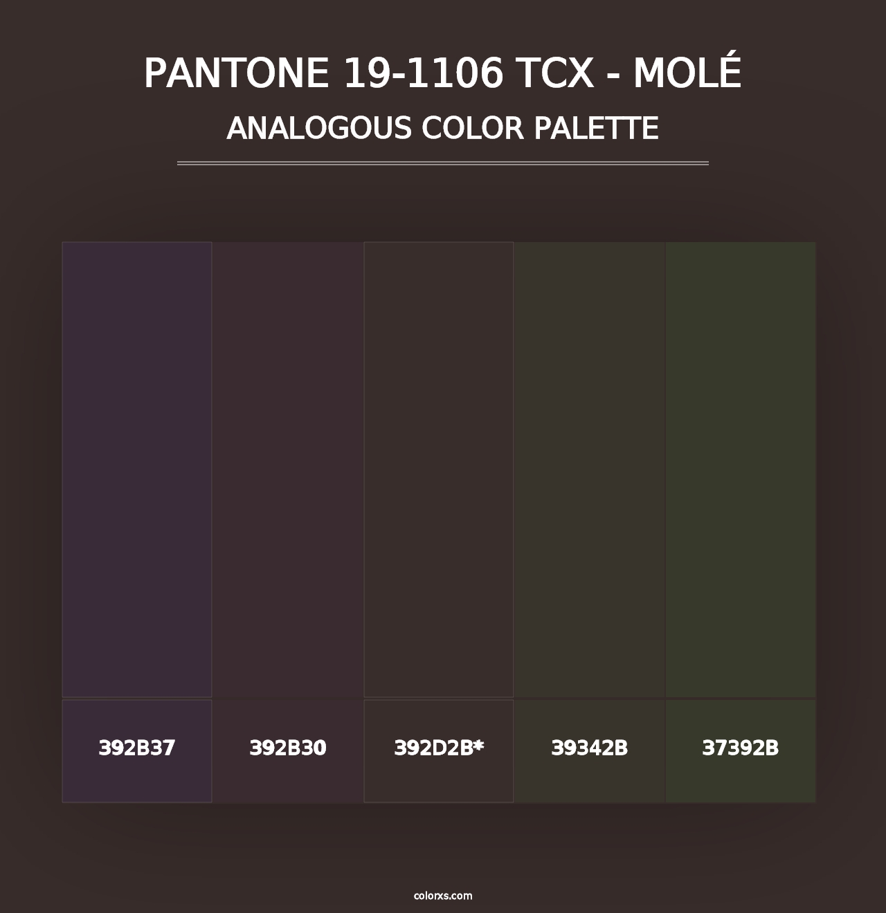 PANTONE 19-1106 TCX - Molé - Analogous Color Palette