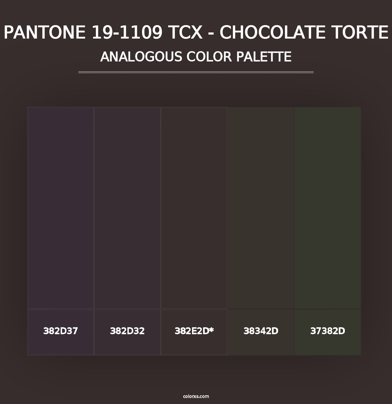 PANTONE 19-1109 TCX - Chocolate Torte - Analogous Color Palette