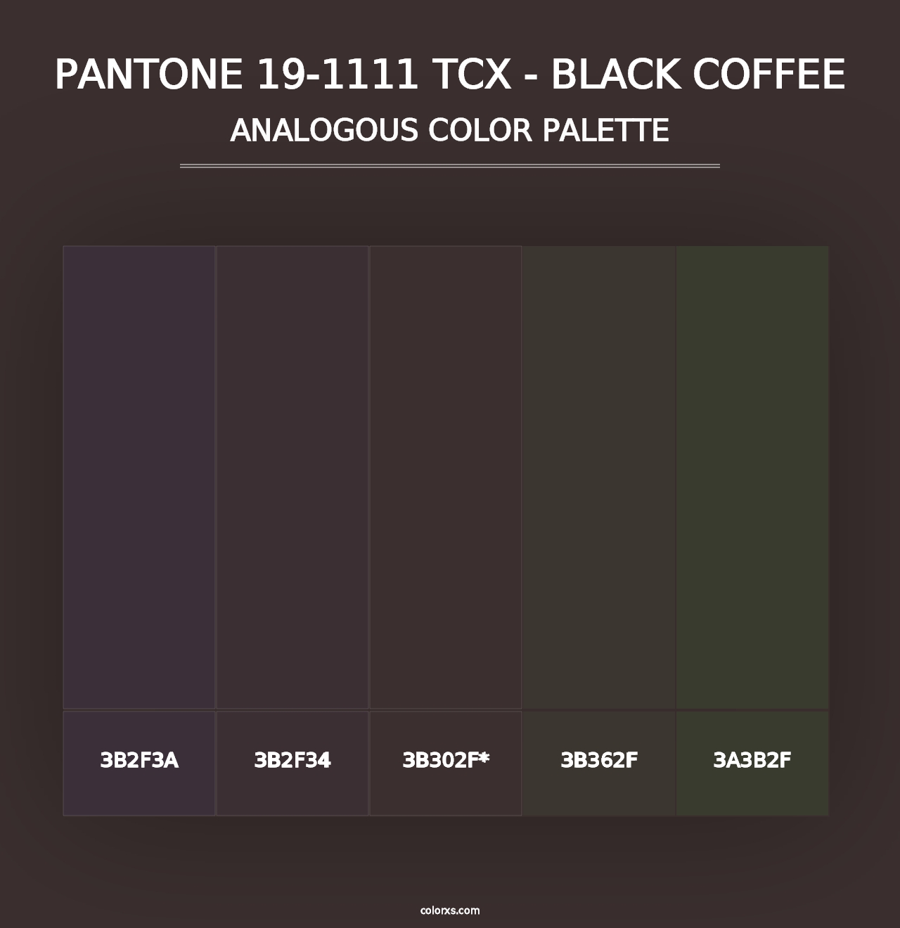 PANTONE 19-1111 TCX - Black Coffee - Analogous Color Palette