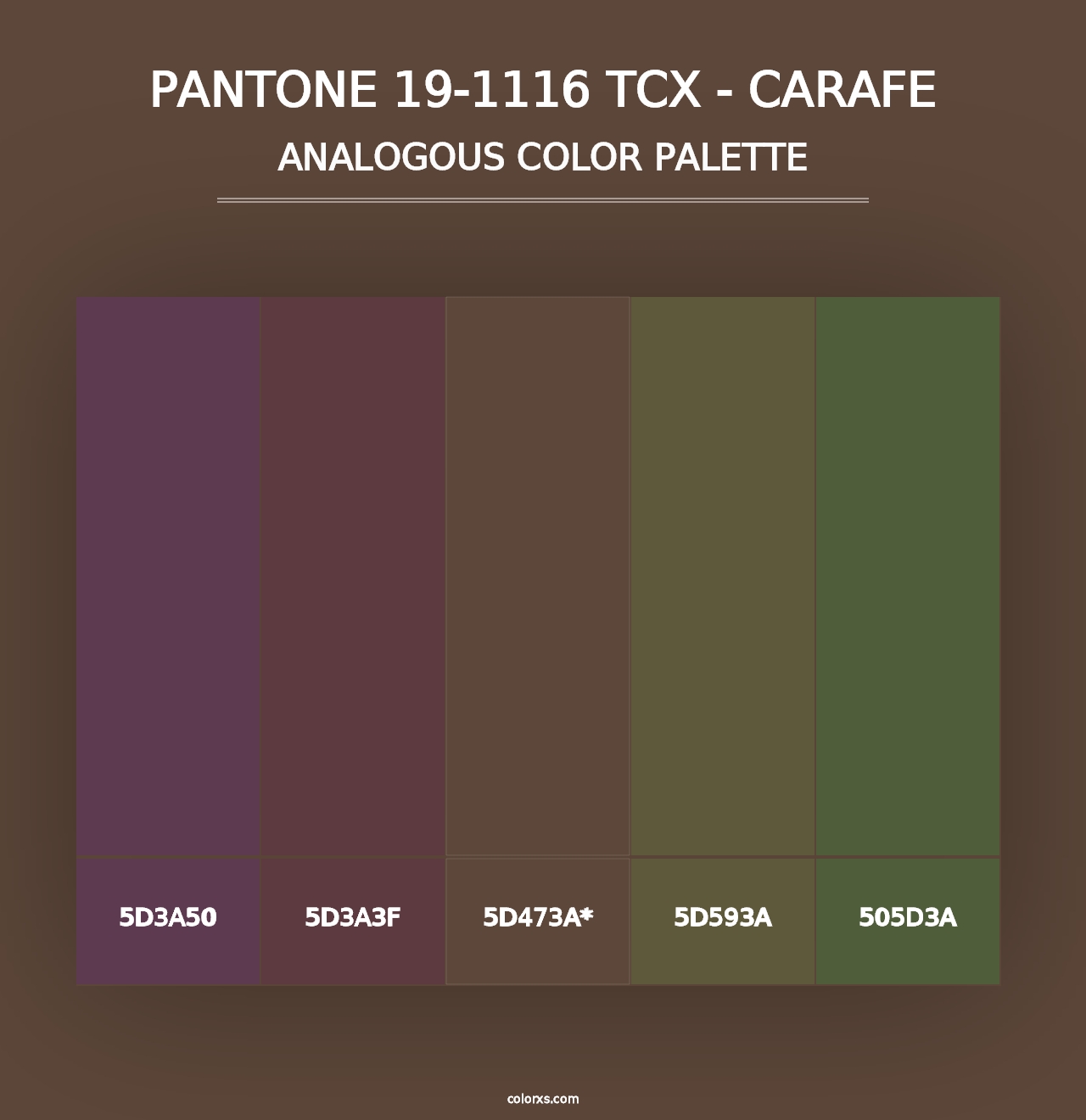 PANTONE 19-1116 TCX - Carafe - Analogous Color Palette