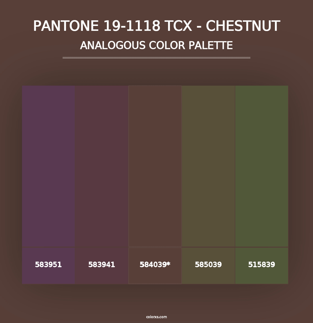 PANTONE 19-1118 TCX - Chestnut - Analogous Color Palette