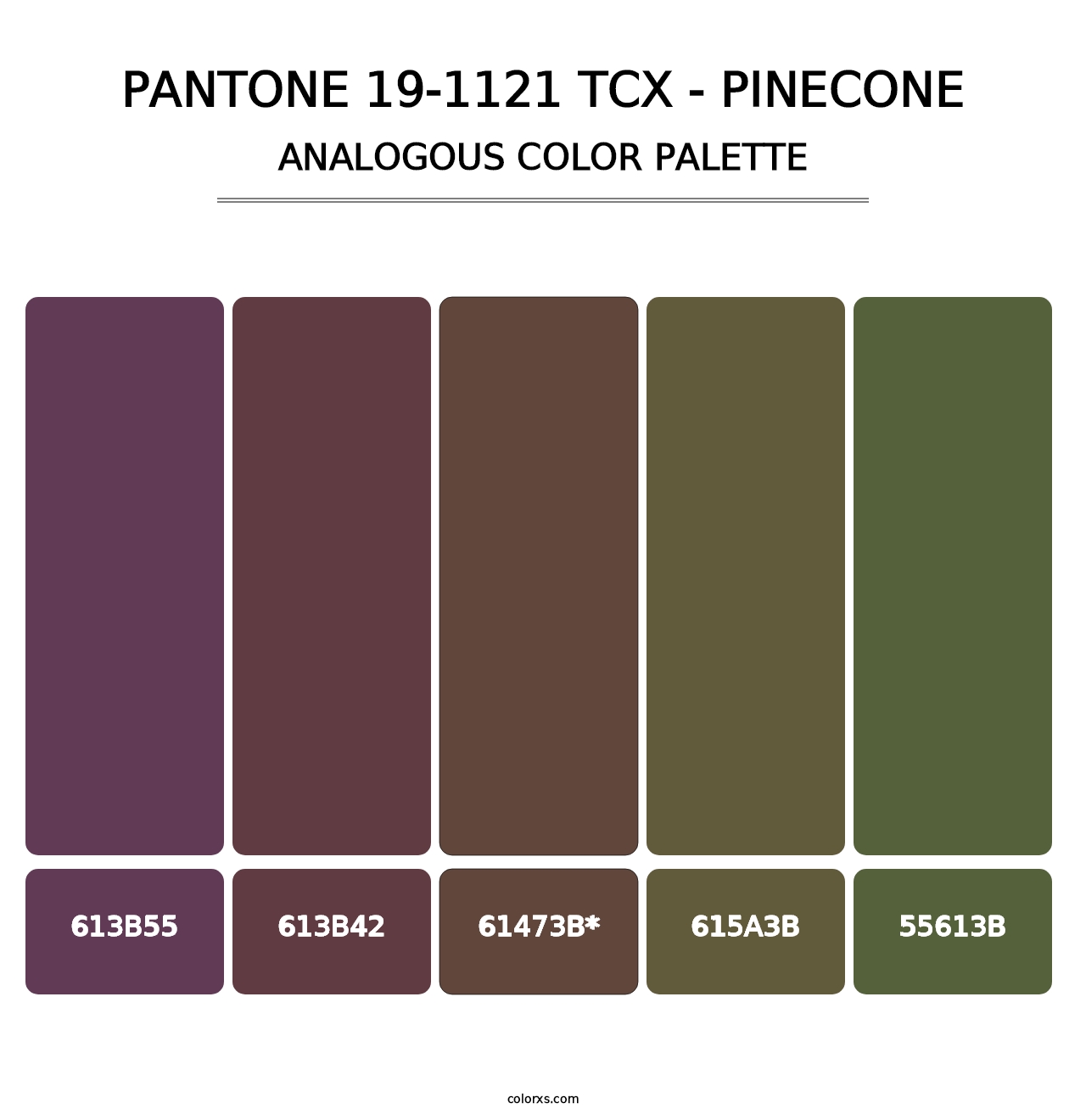 PANTONE 19-1121 TCX - Pinecone - Analogous Color Palette