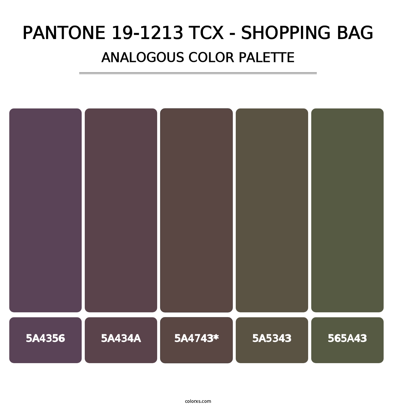 PANTONE 19-1213 TCX - Shopping Bag - Analogous Color Palette