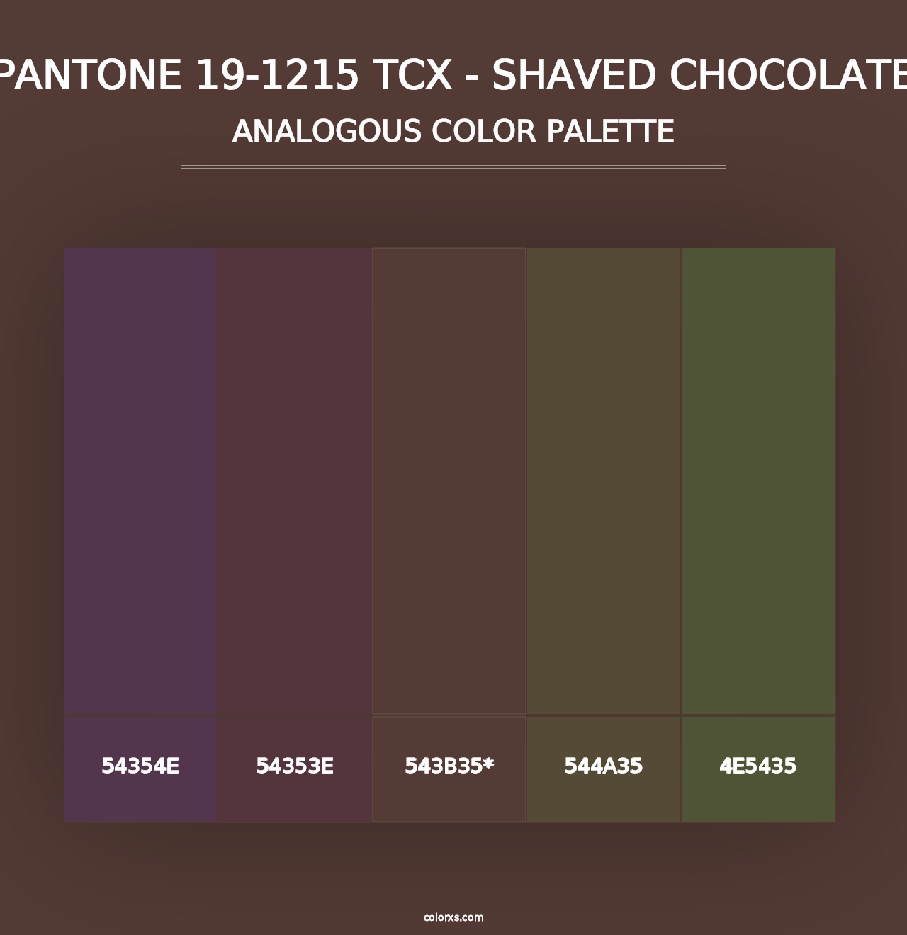 PANTONE 19-1215 TCX - Shaved Chocolate - Analogous Color Palette