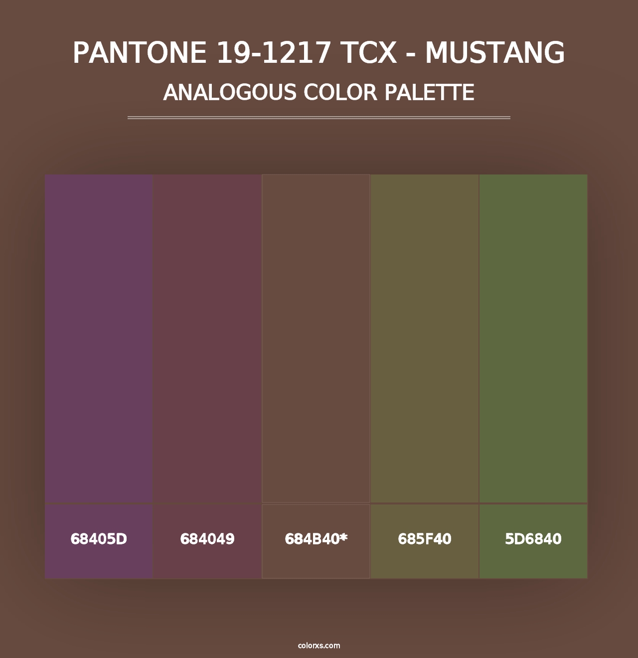 PANTONE 19-1217 TCX - Mustang - Analogous Color Palette