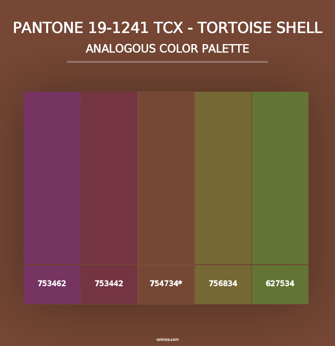 PANTONE 19-1241 TCX - Tortoise Shell - Analogous Color Palette