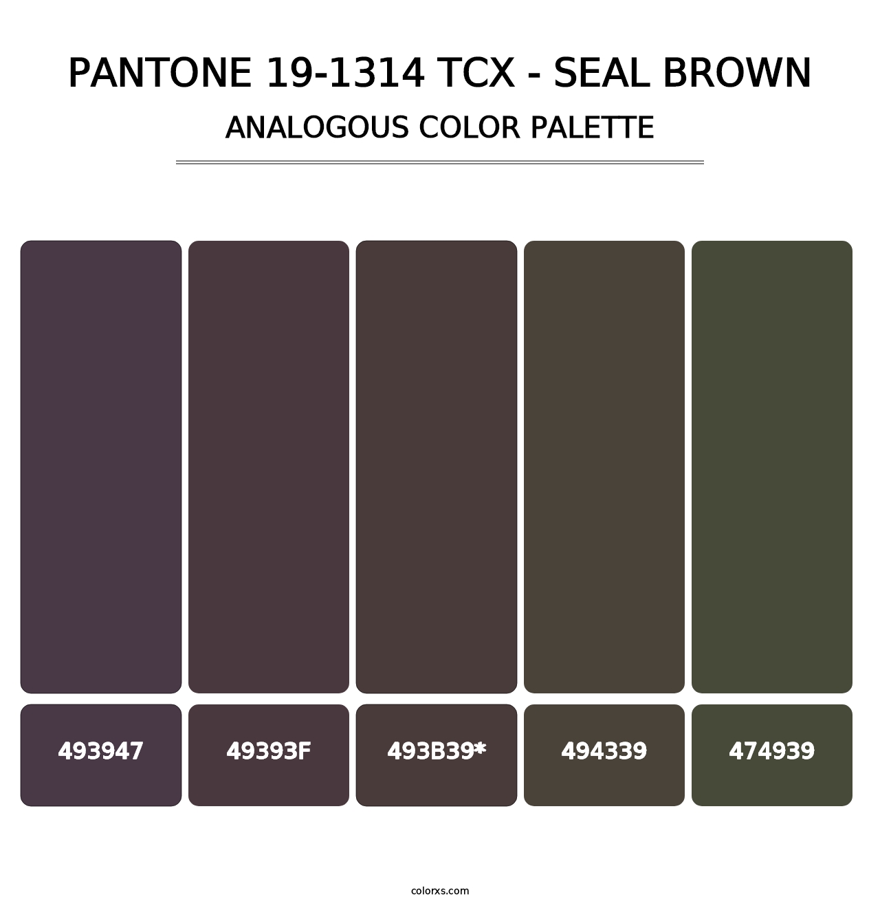 PANTONE 19-1314 TCX - Seal Brown - Analogous Color Palette