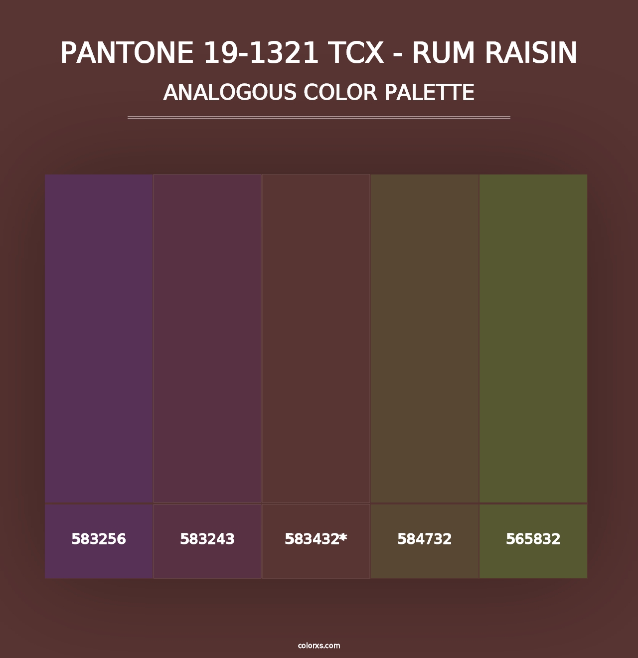 PANTONE 19-1321 TCX - Rum Raisin - Analogous Color Palette