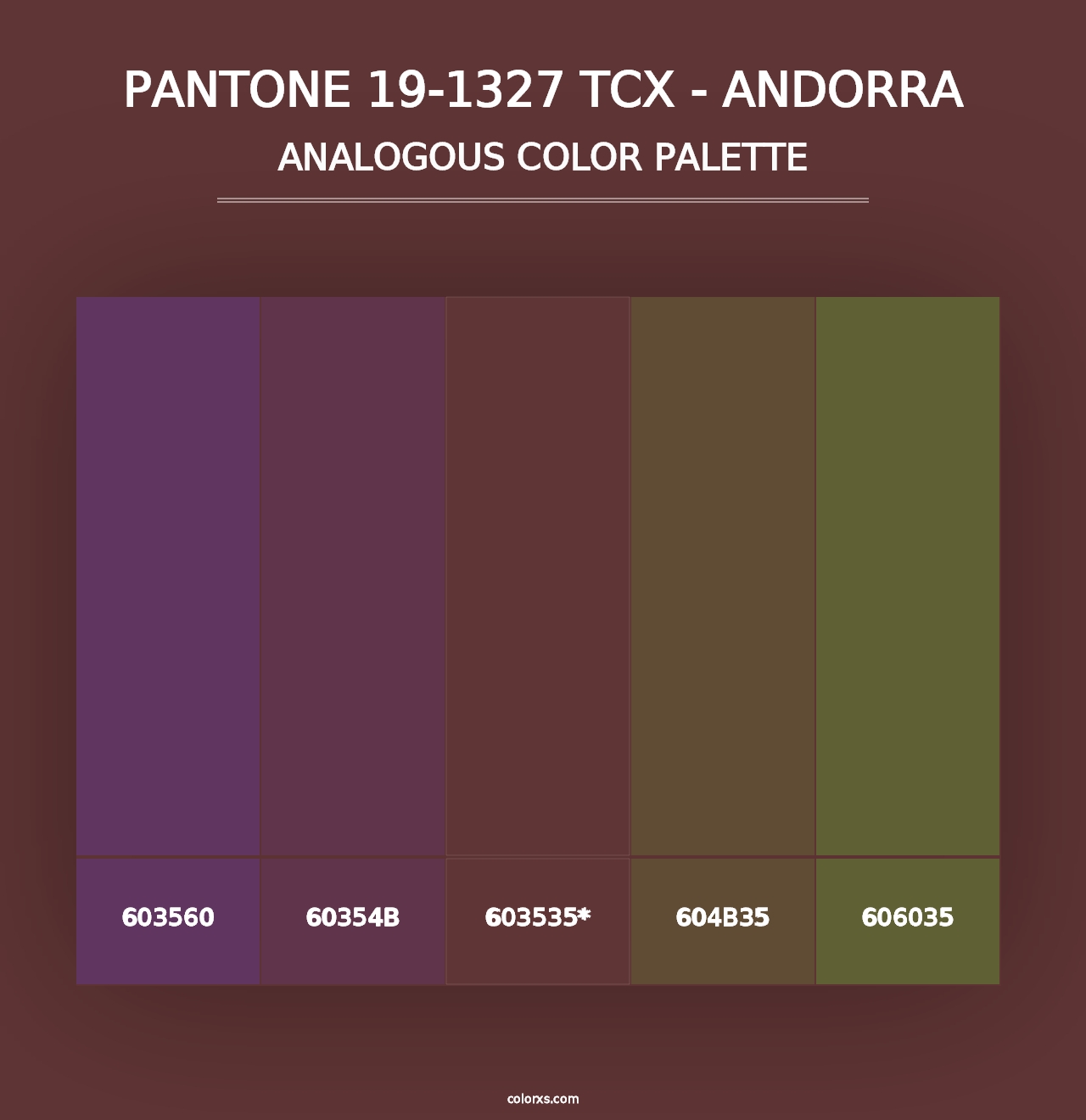 PANTONE 19-1327 TCX - Andorra - Analogous Color Palette