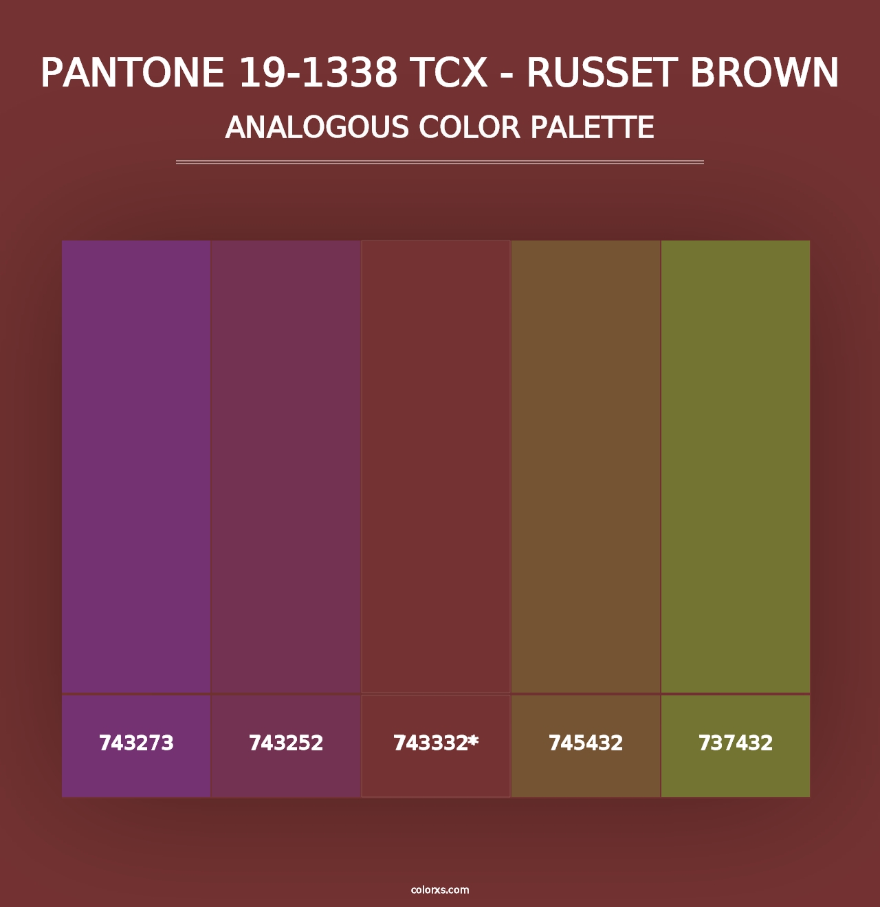 PANTONE 19-1338 TCX - Russet Brown - Analogous Color Palette