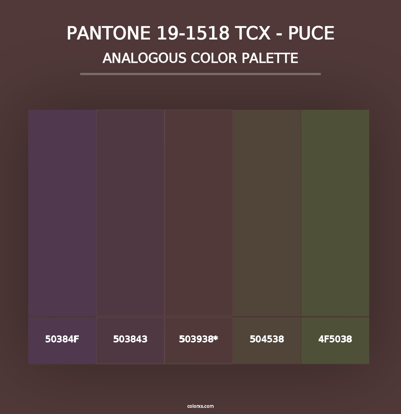 PANTONE 19-1518 TCX - Puce - Analogous Color Palette