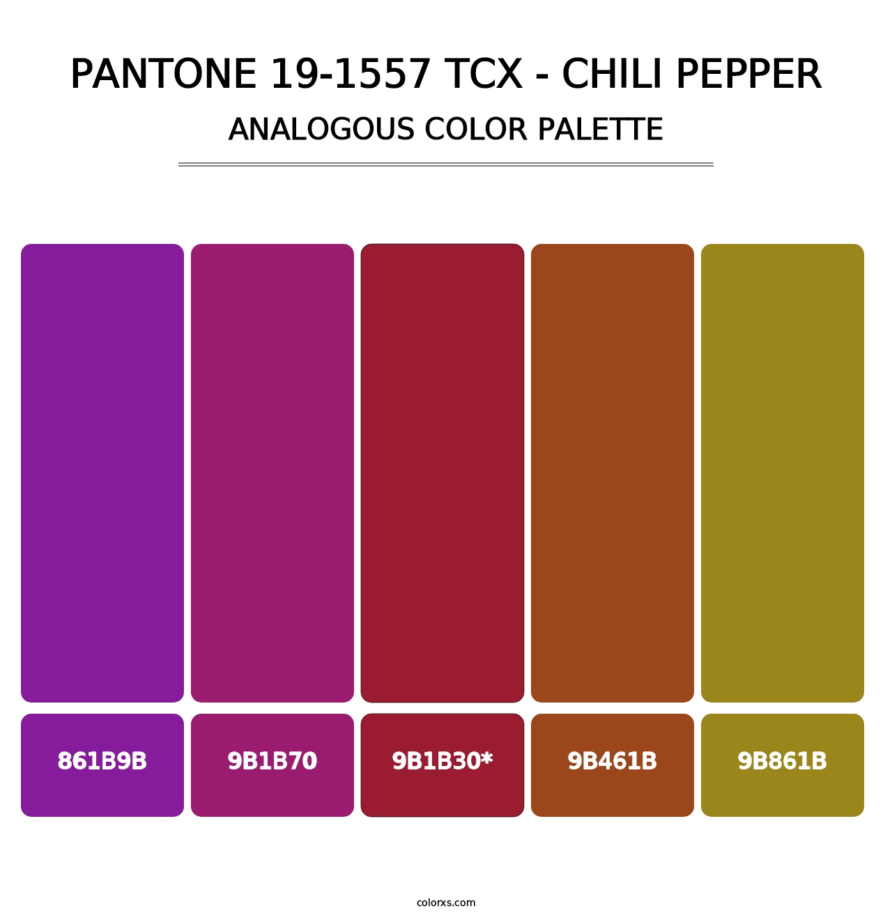 PANTONE 19-1557 TCX - Chili Pepper - Analogous Color Palette