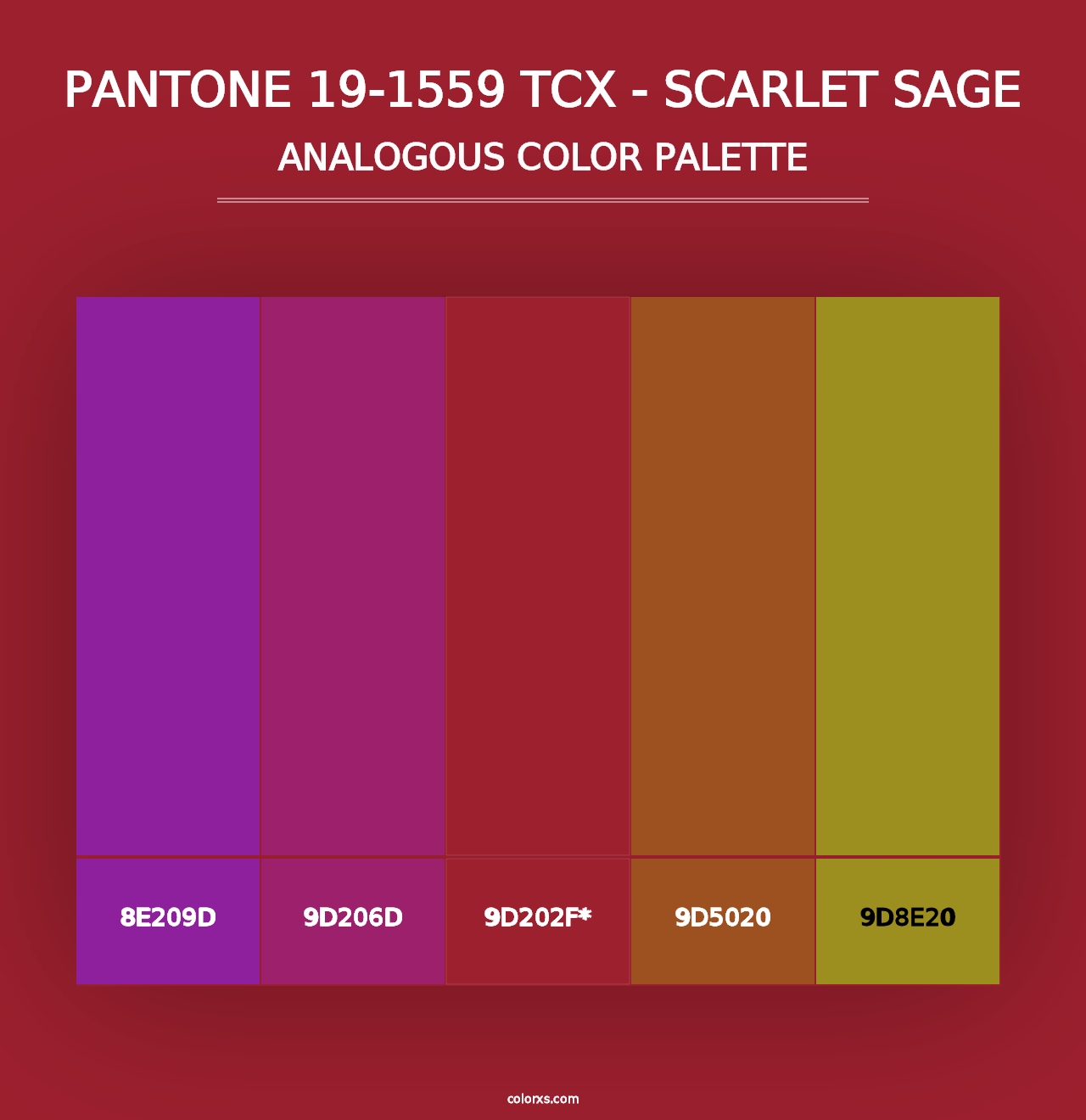 PANTONE 19-1559 TCX - Scarlet Sage - Analogous Color Palette