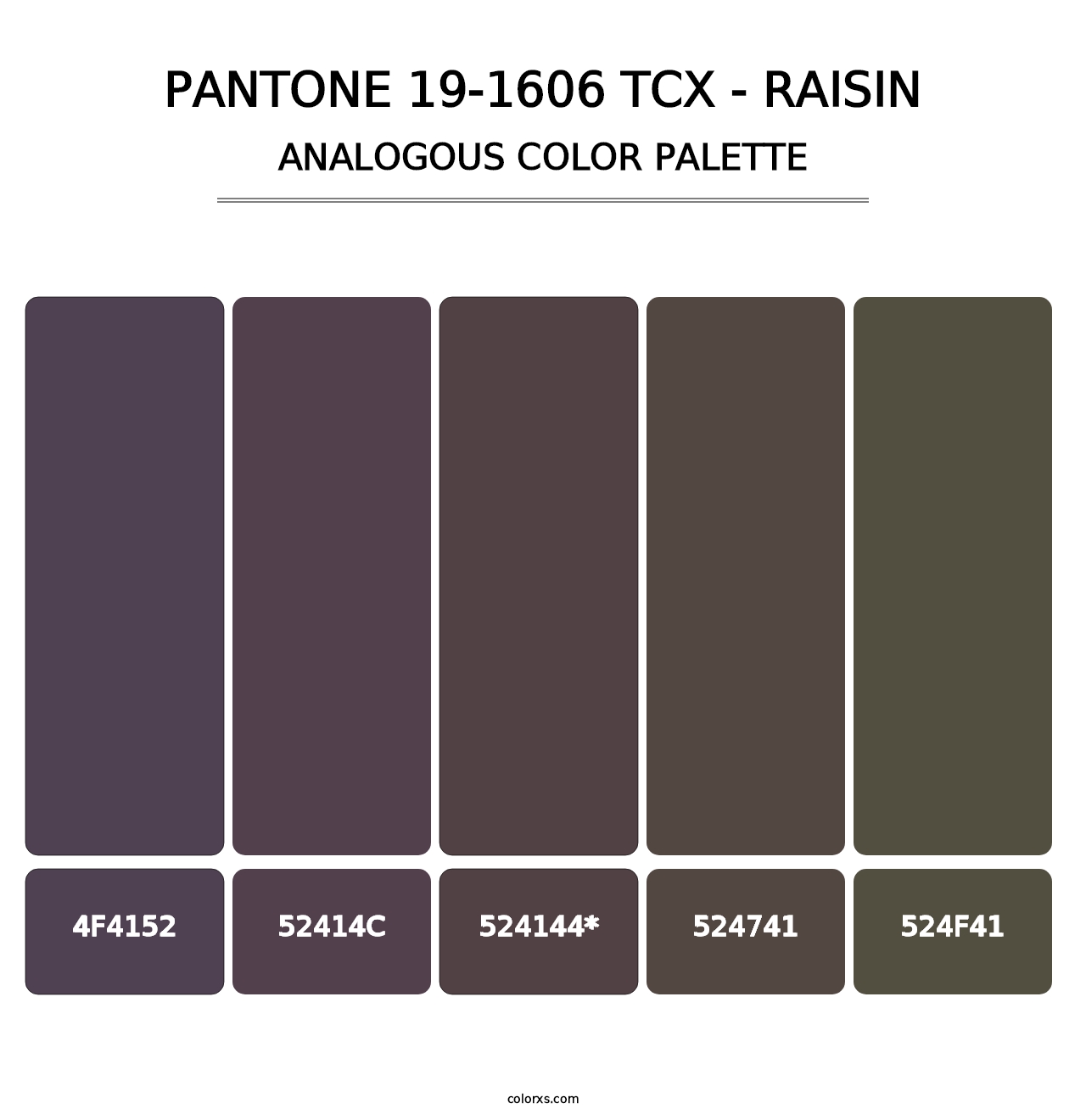 PANTONE 19-1606 TCX - Raisin - Analogous Color Palette