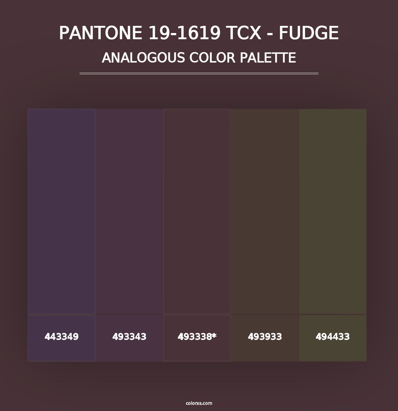 PANTONE 19-1619 TCX - Fudge - Analogous Color Palette