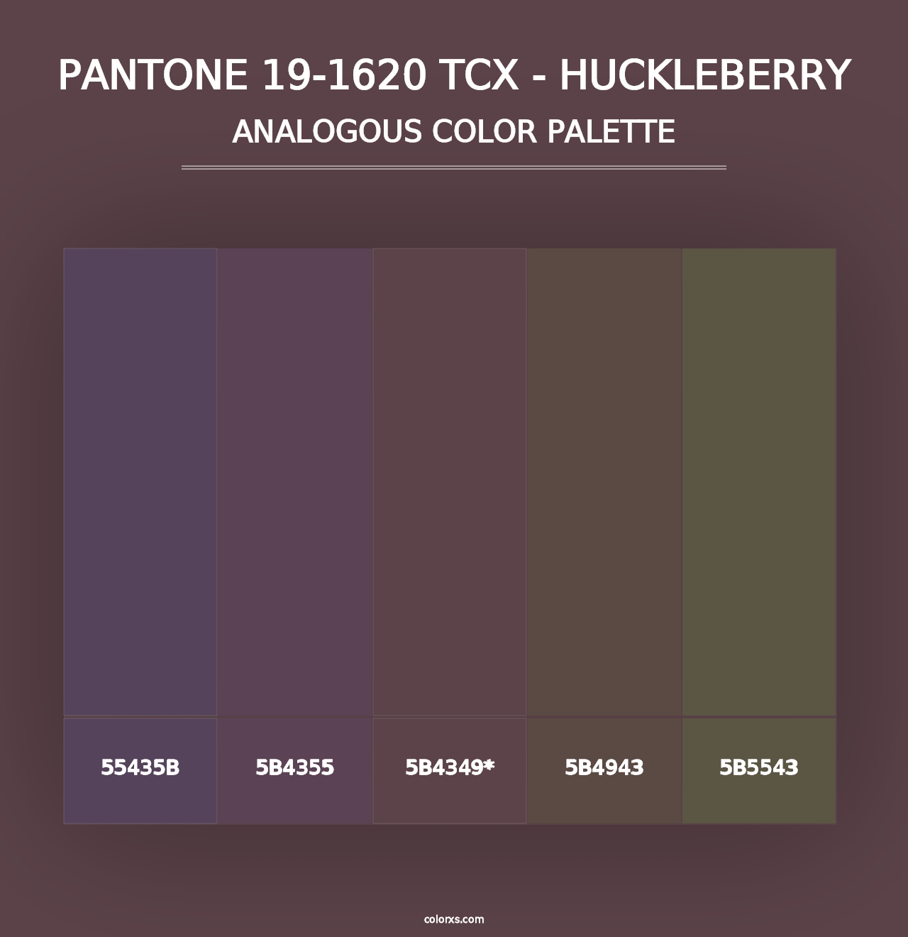 PANTONE 19-1620 TCX - Huckleberry - Analogous Color Palette