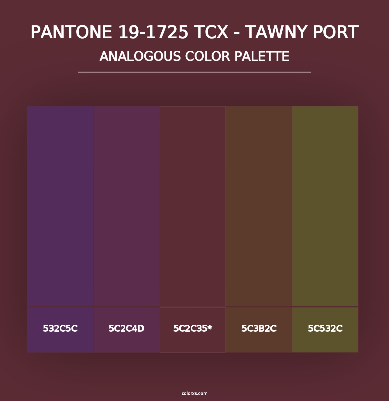 PANTONE 19-1725 TCX - Tawny Port - Analogous Color Palette