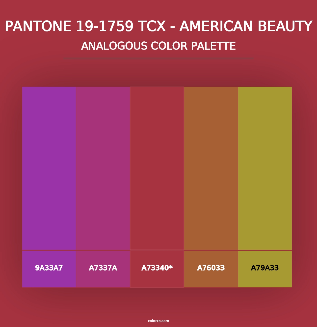 PANTONE 19-1759 TCX - American Beauty - Analogous Color Palette