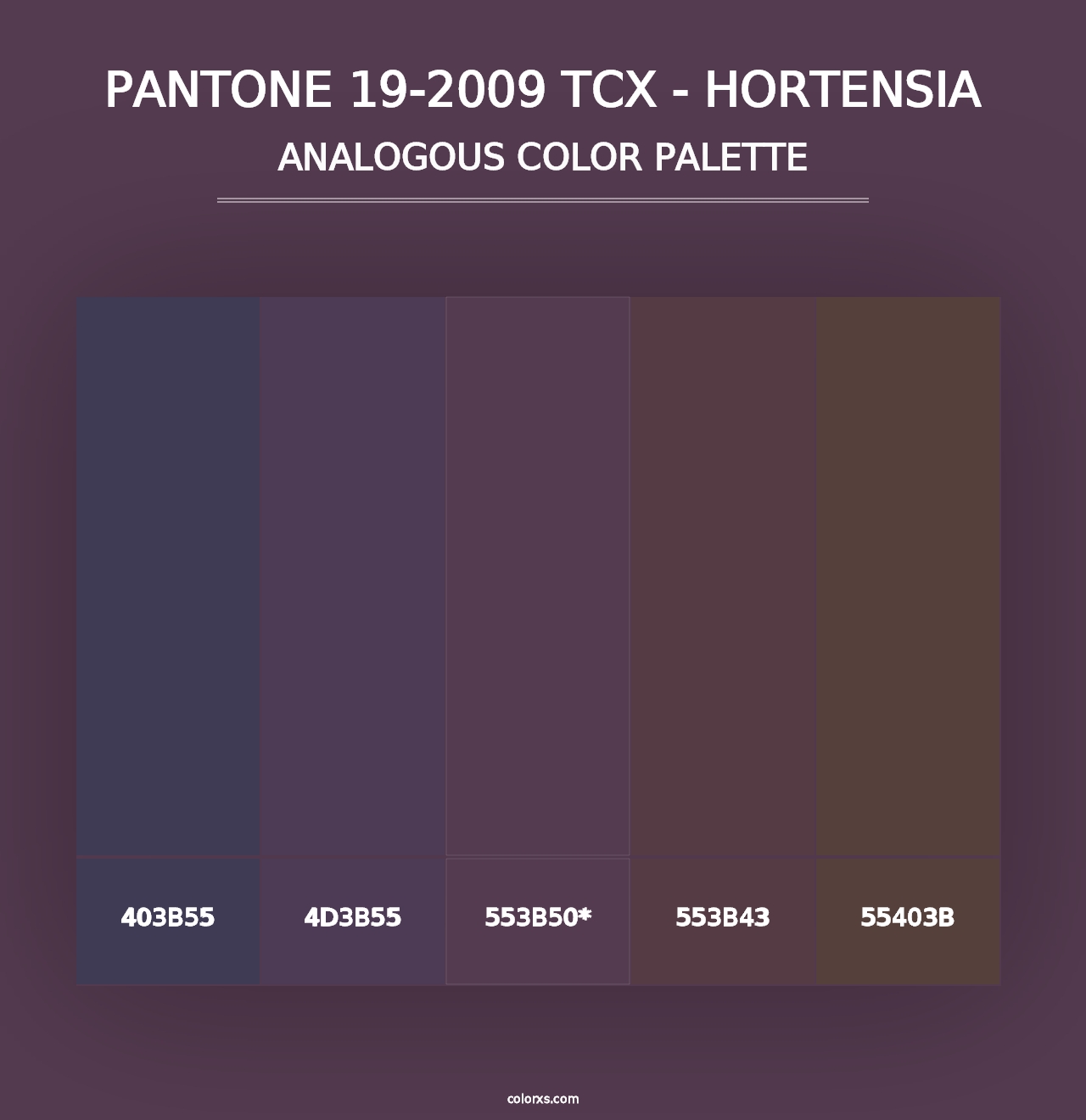 PANTONE 19-2009 TCX - Hortensia - Analogous Color Palette