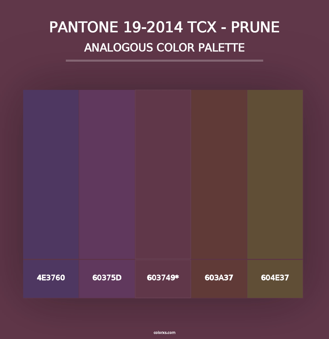 PANTONE 19-2014 TCX - Prune - Analogous Color Palette