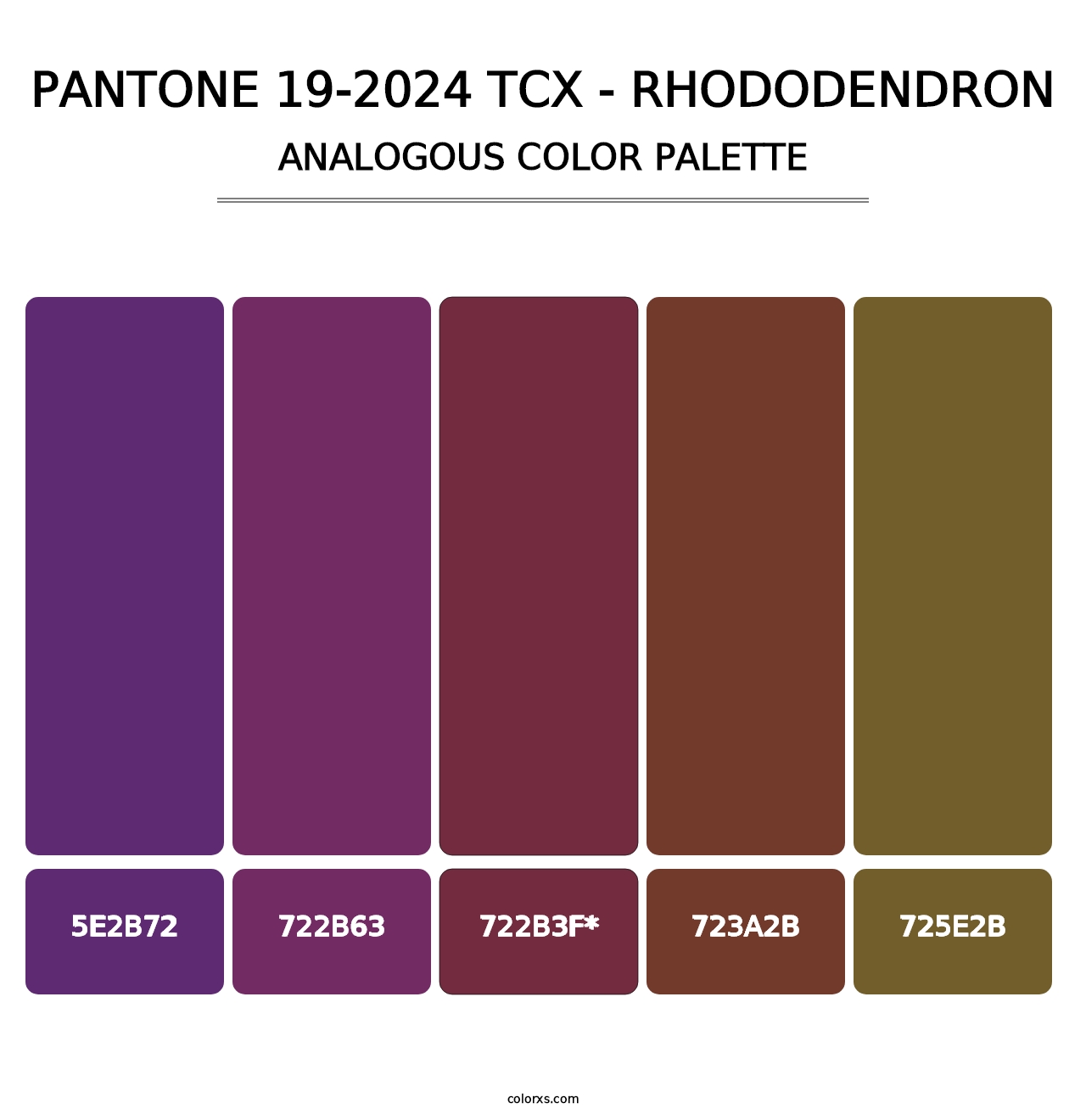 PANTONE 19-2024 TCX - Rhododendron - Analogous Color Palette