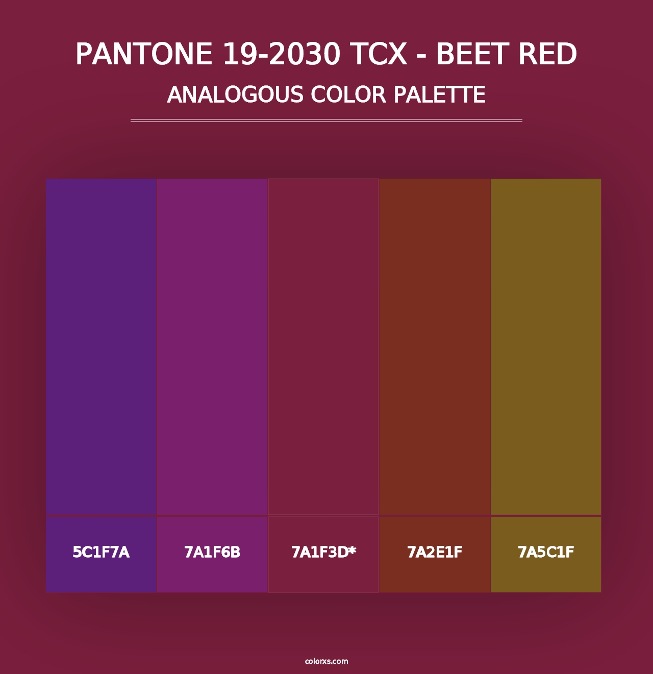 PANTONE 19-2030 TCX - Beet Red - Analogous Color Palette