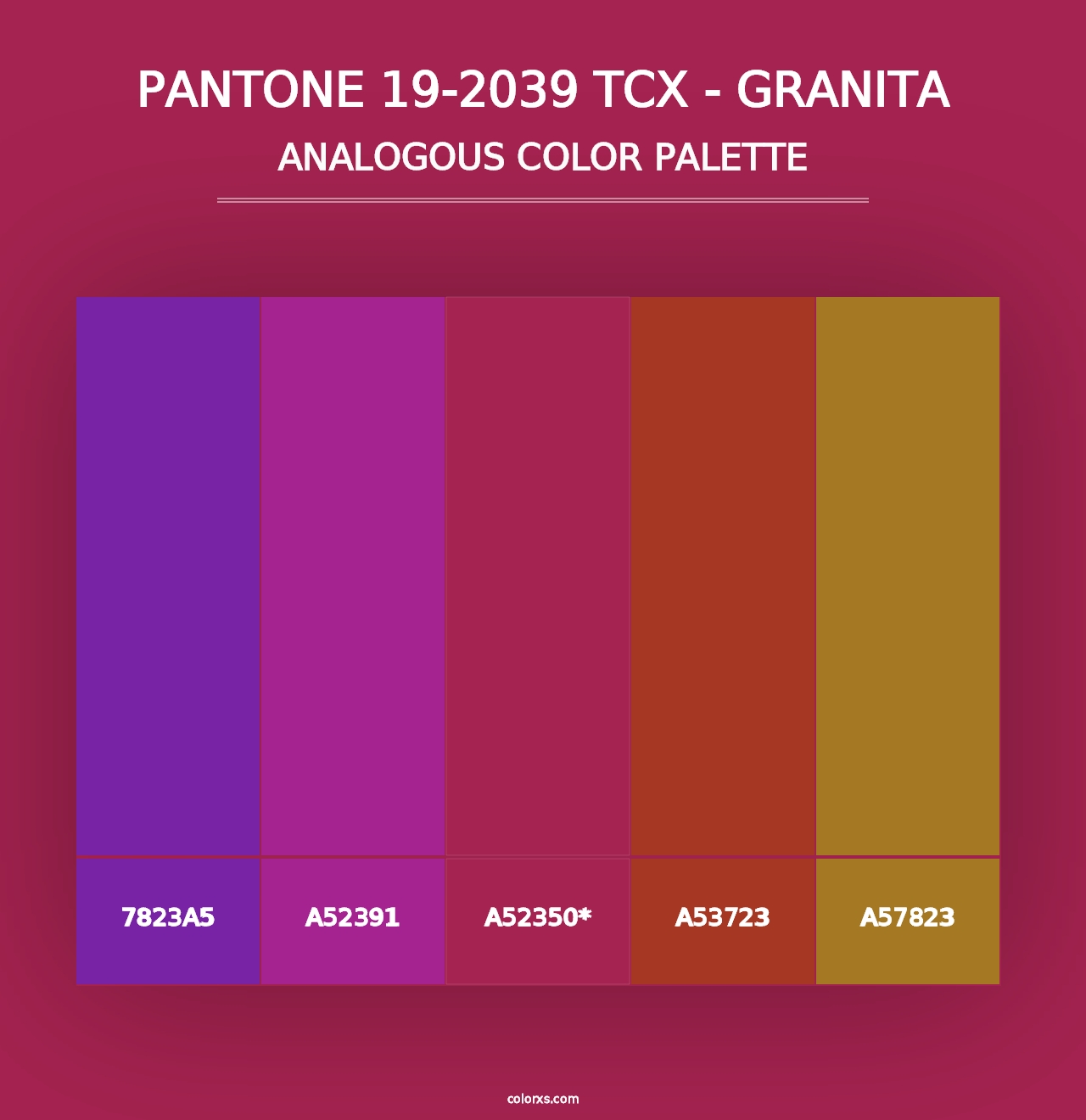 PANTONE 19-2039 TCX - Granita - Analogous Color Palette