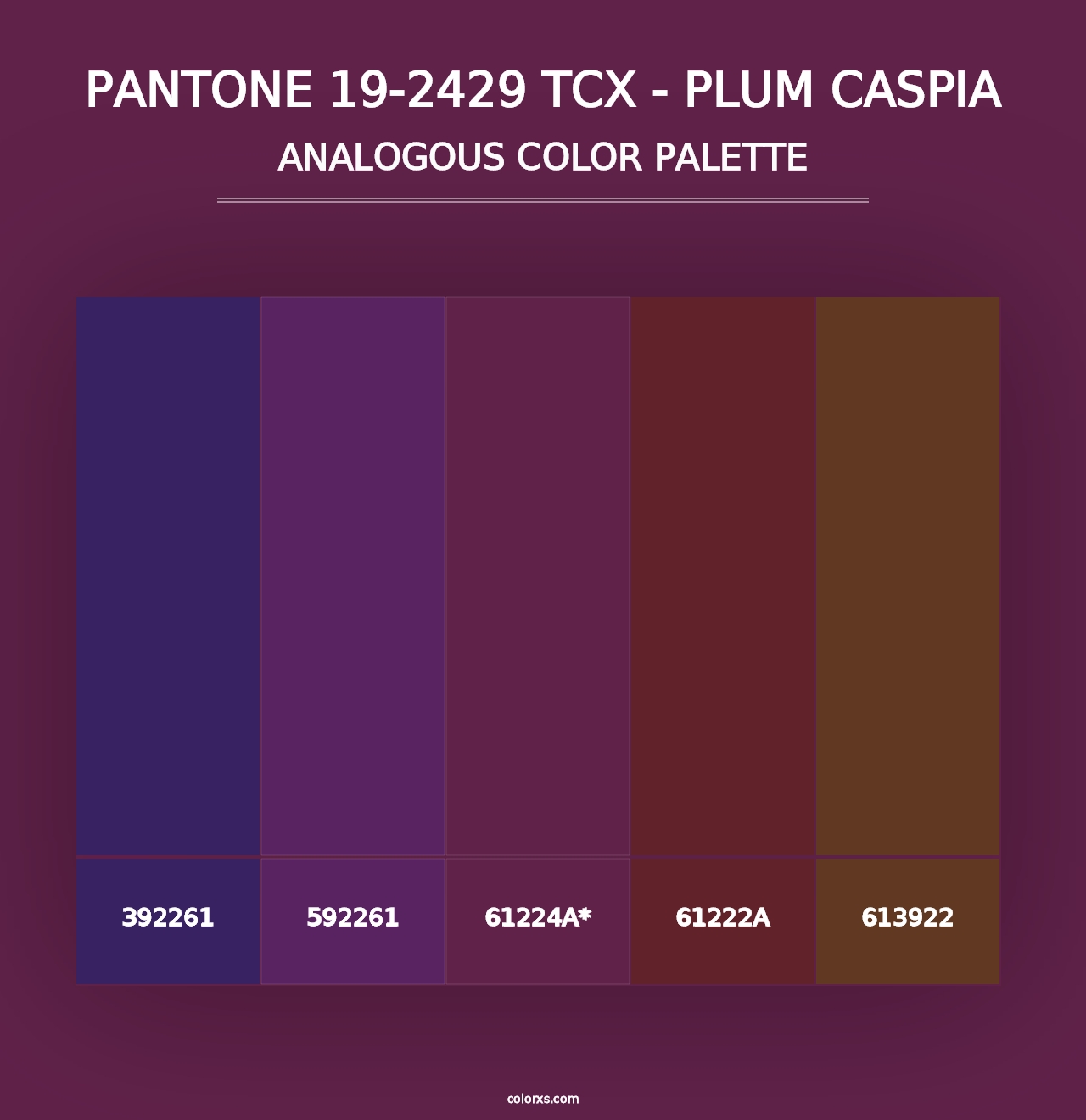 PANTONE 19-2429 TCX - Plum Caspia - Analogous Color Palette