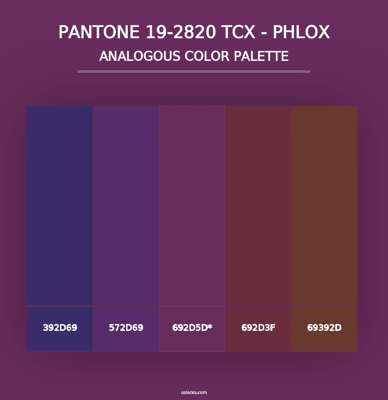 PANTONE 19-2820 TCX - Phlox - Analogous Color Palette