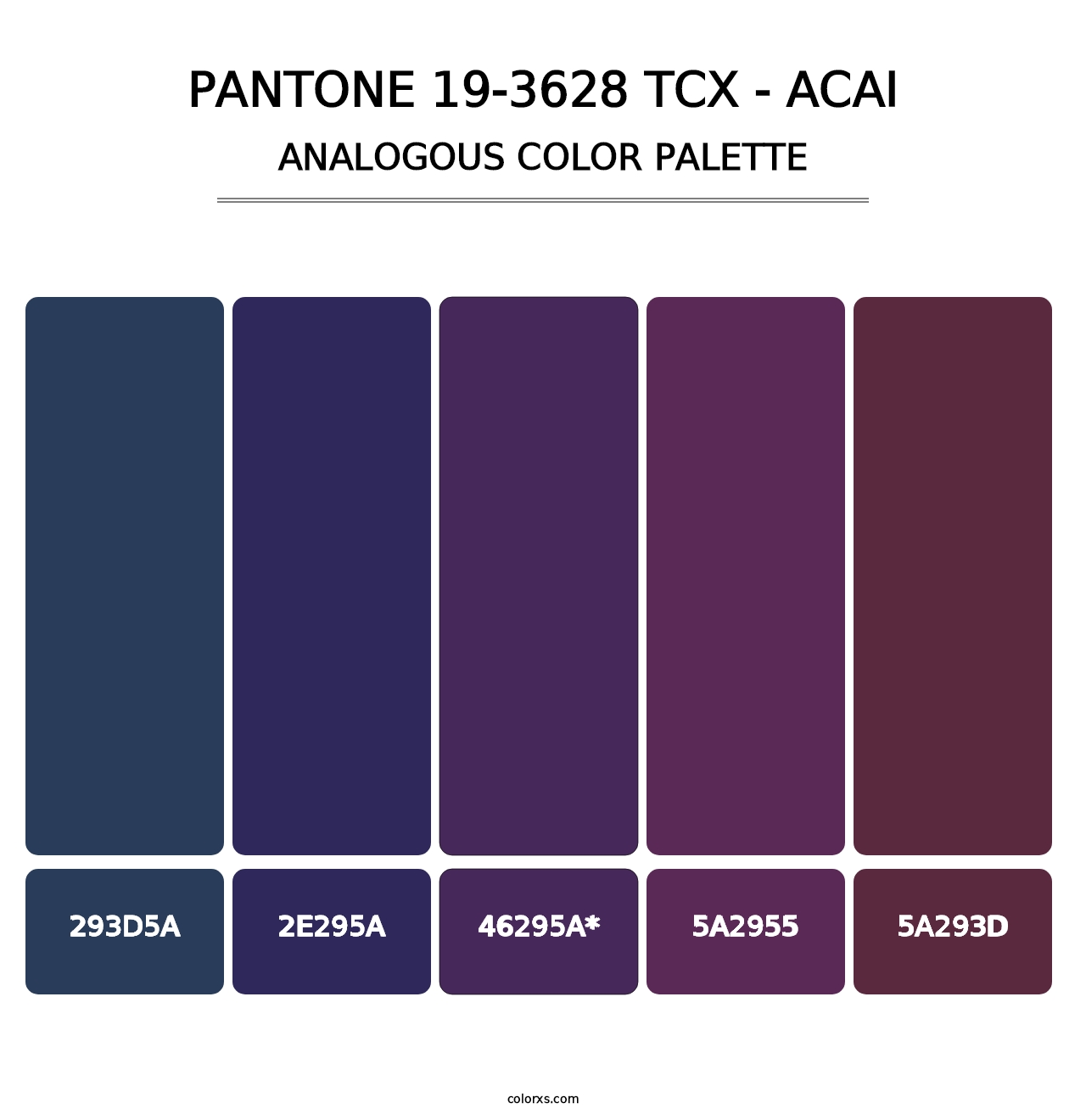 PANTONE 19-3628 TCX - Acai - Analogous Color Palette