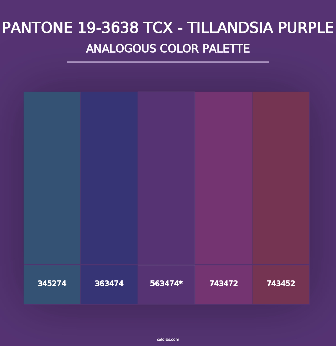 PANTONE 19-3638 TCX - Tillandsia Purple - Analogous Color Palette