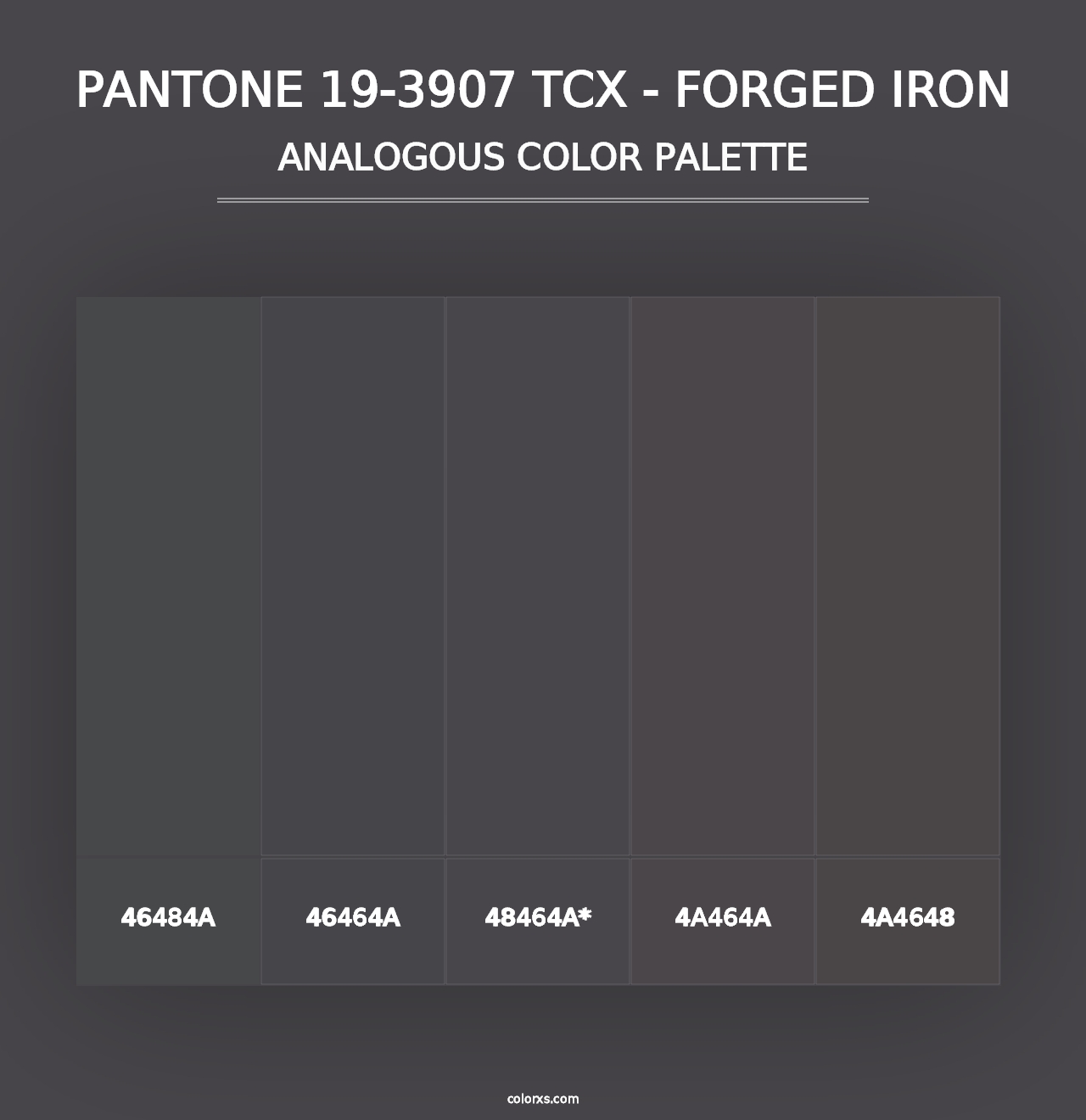 PANTONE 19-3907 TCX - Forged Iron - Analogous Color Palette