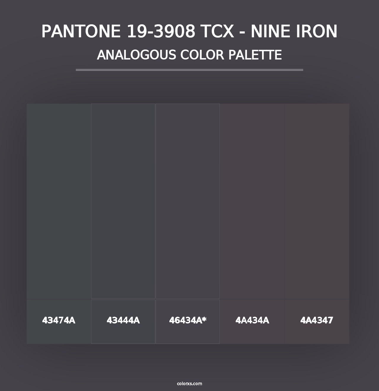 PANTONE 19-3908 TCX - Nine Iron - Analogous Color Palette