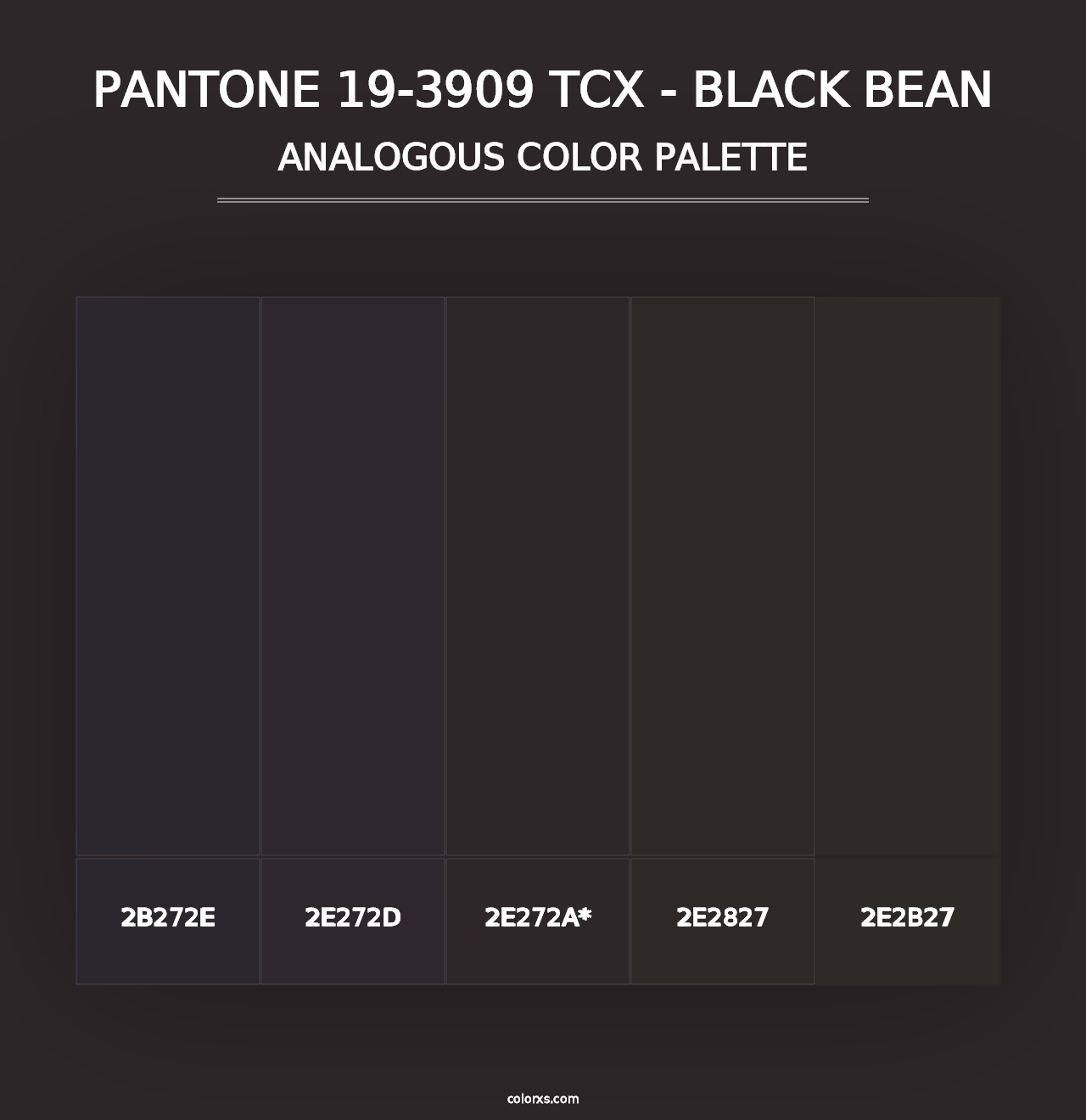 PANTONE 19-3909 TCX - Black Bean - Analogous Color Palette