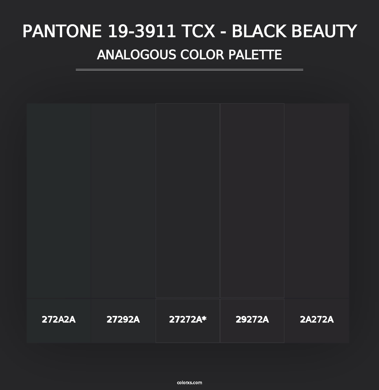 PANTONE 19-3911 TCX - Black Beauty - Analogous Color Palette