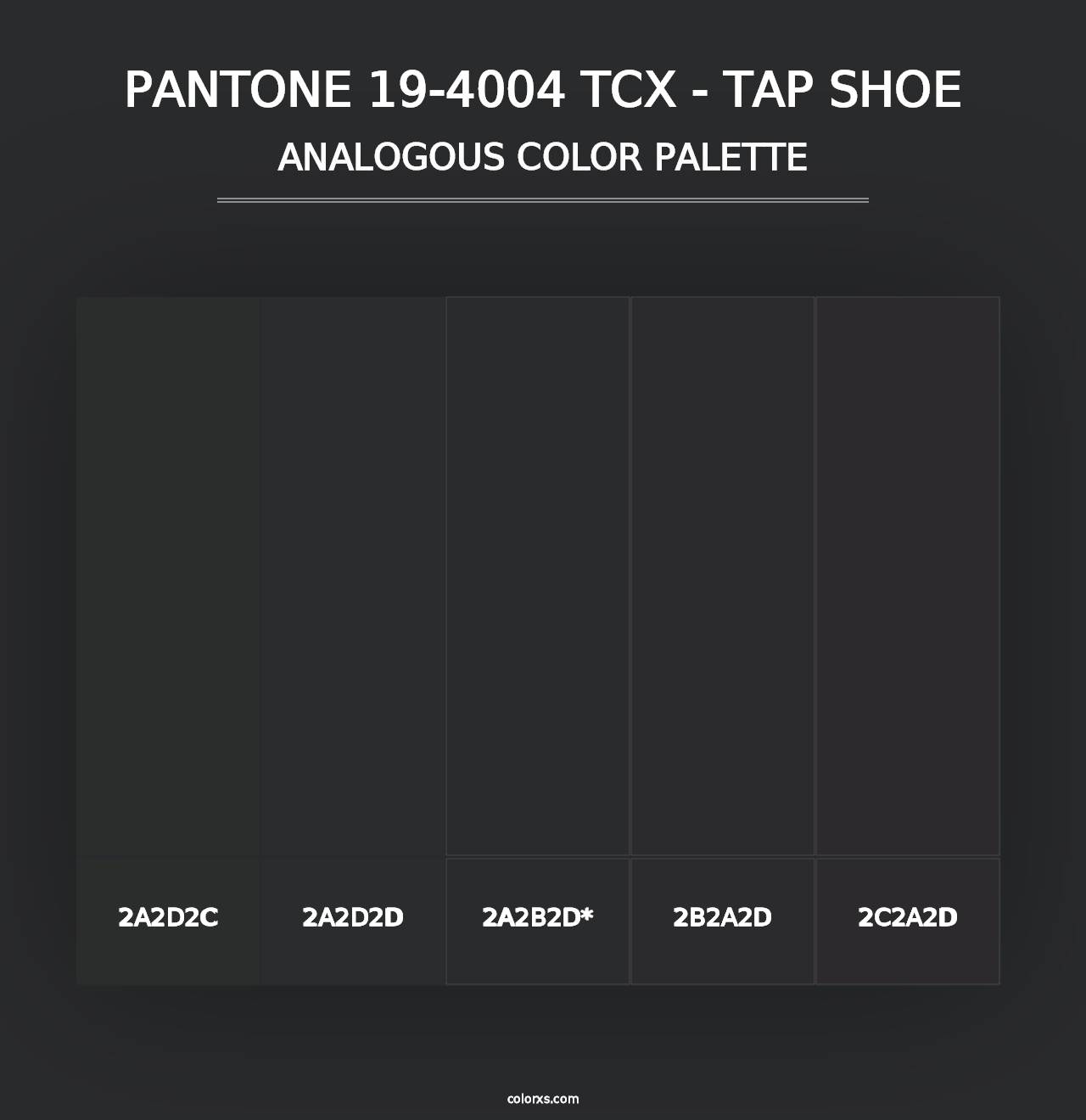 PANTONE 19-4004 TCX - Tap Shoe - Analogous Color Palette