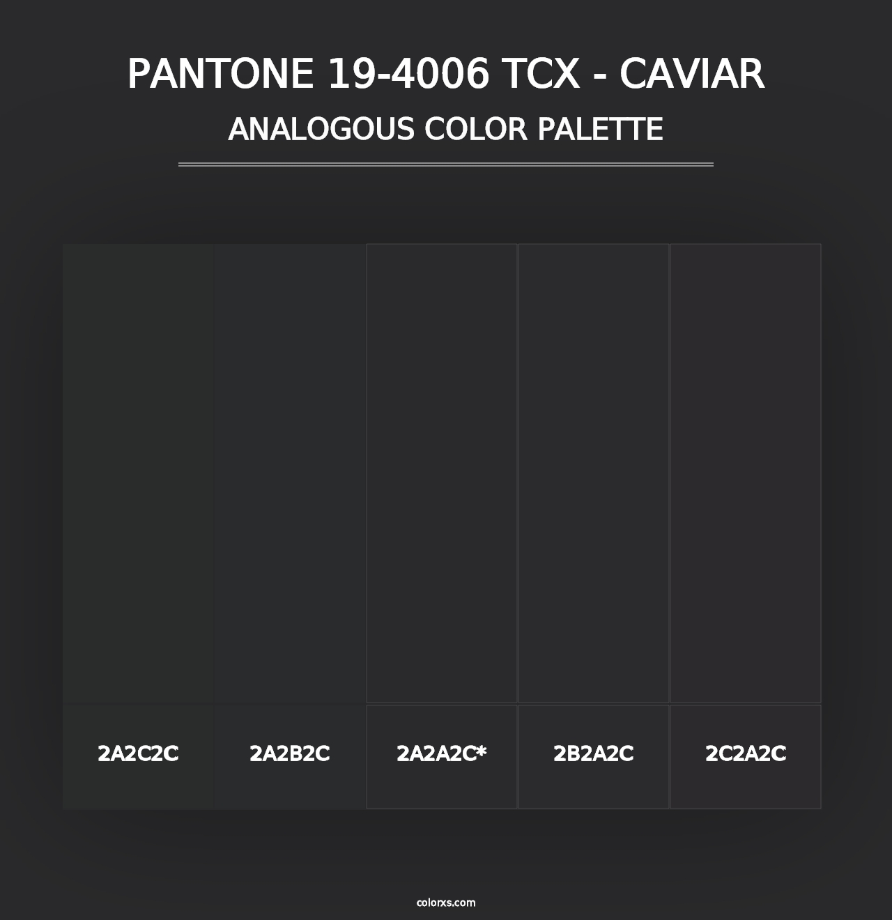 PANTONE 19-4006 TCX - Caviar - Analogous Color Palette