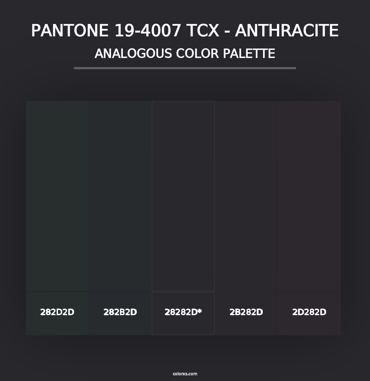 PANTONE 19-4007 TCX - Anthracite - Analogous Color Palette