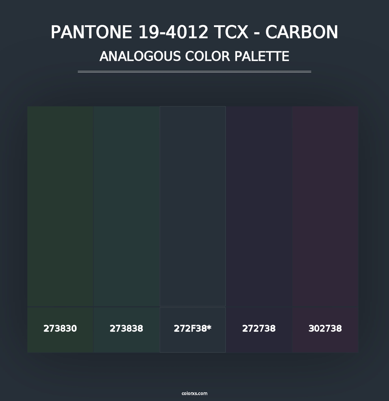 PANTONE 19-4012 TCX - Carbon - Analogous Color Palette