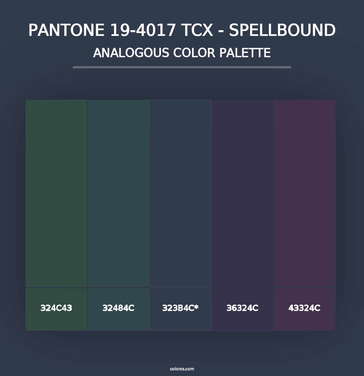 PANTONE 19-4017 TCX - Spellbound - Analogous Color Palette