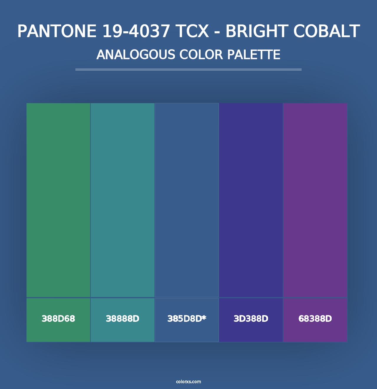 PANTONE 19-4037 TCX - Bright Cobalt - Analogous Color Palette