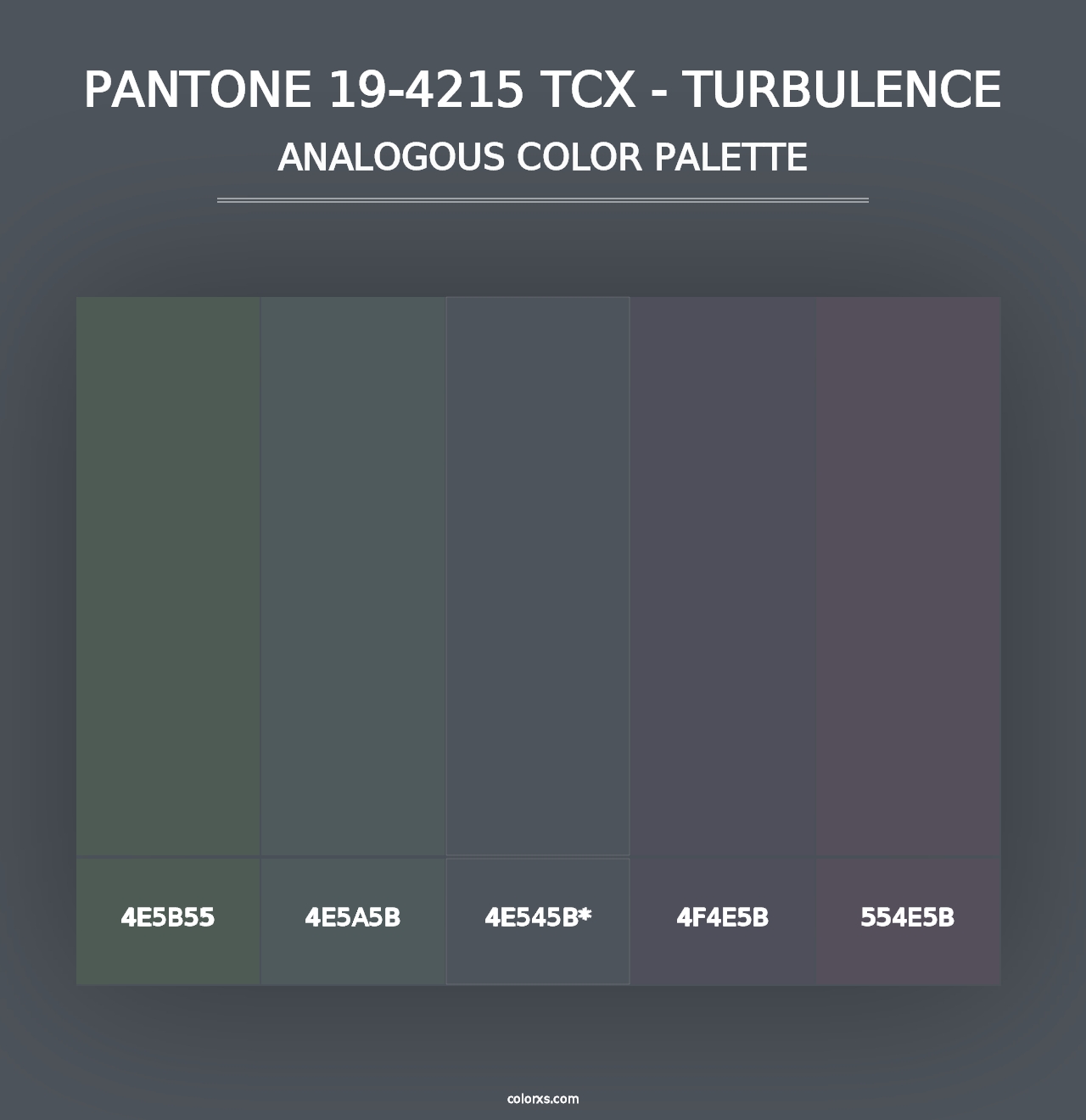 PANTONE 19-4215 TCX - Turbulence - Analogous Color Palette