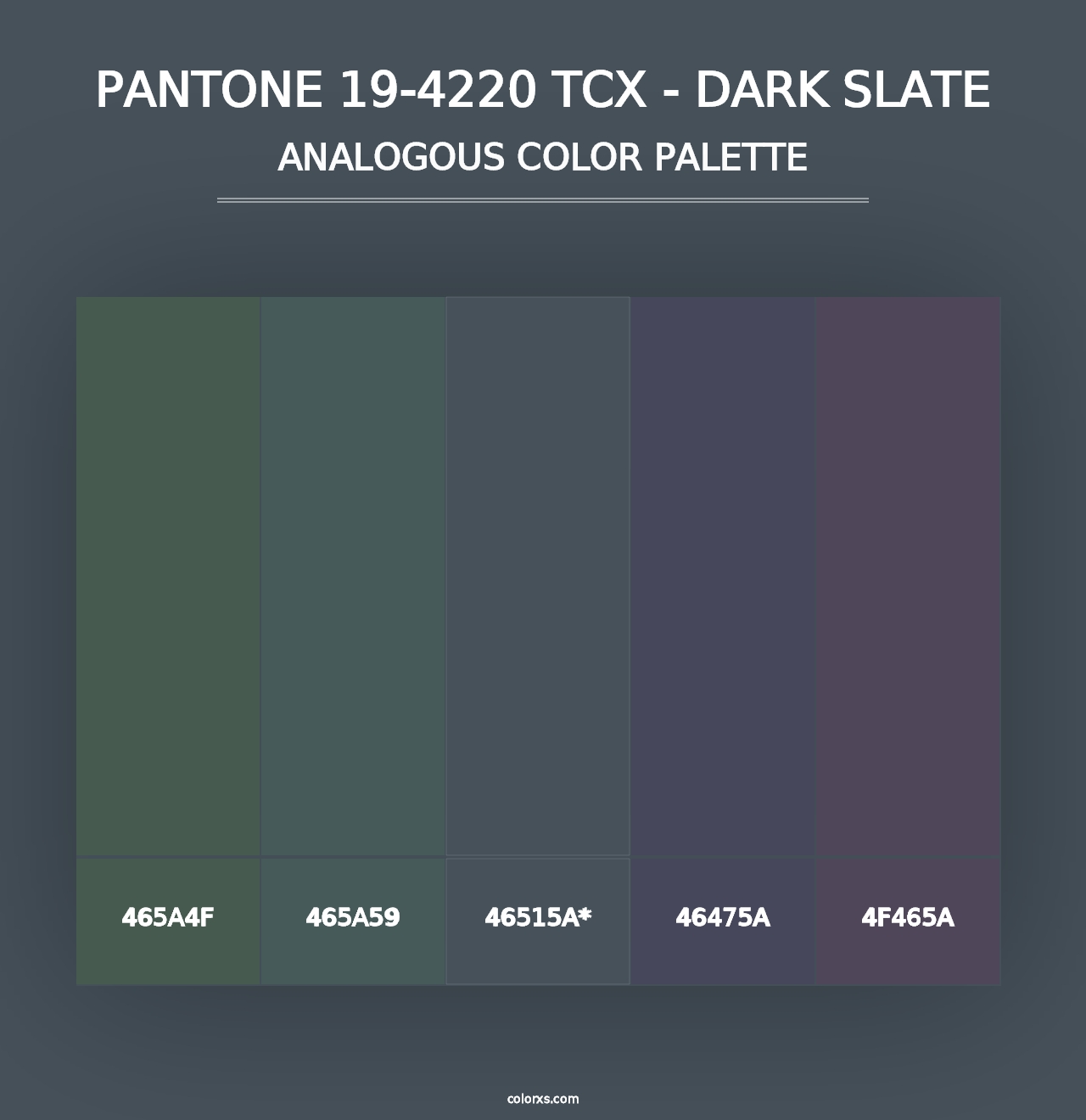 PANTONE 19-4220 TCX - Dark Slate - Analogous Color Palette