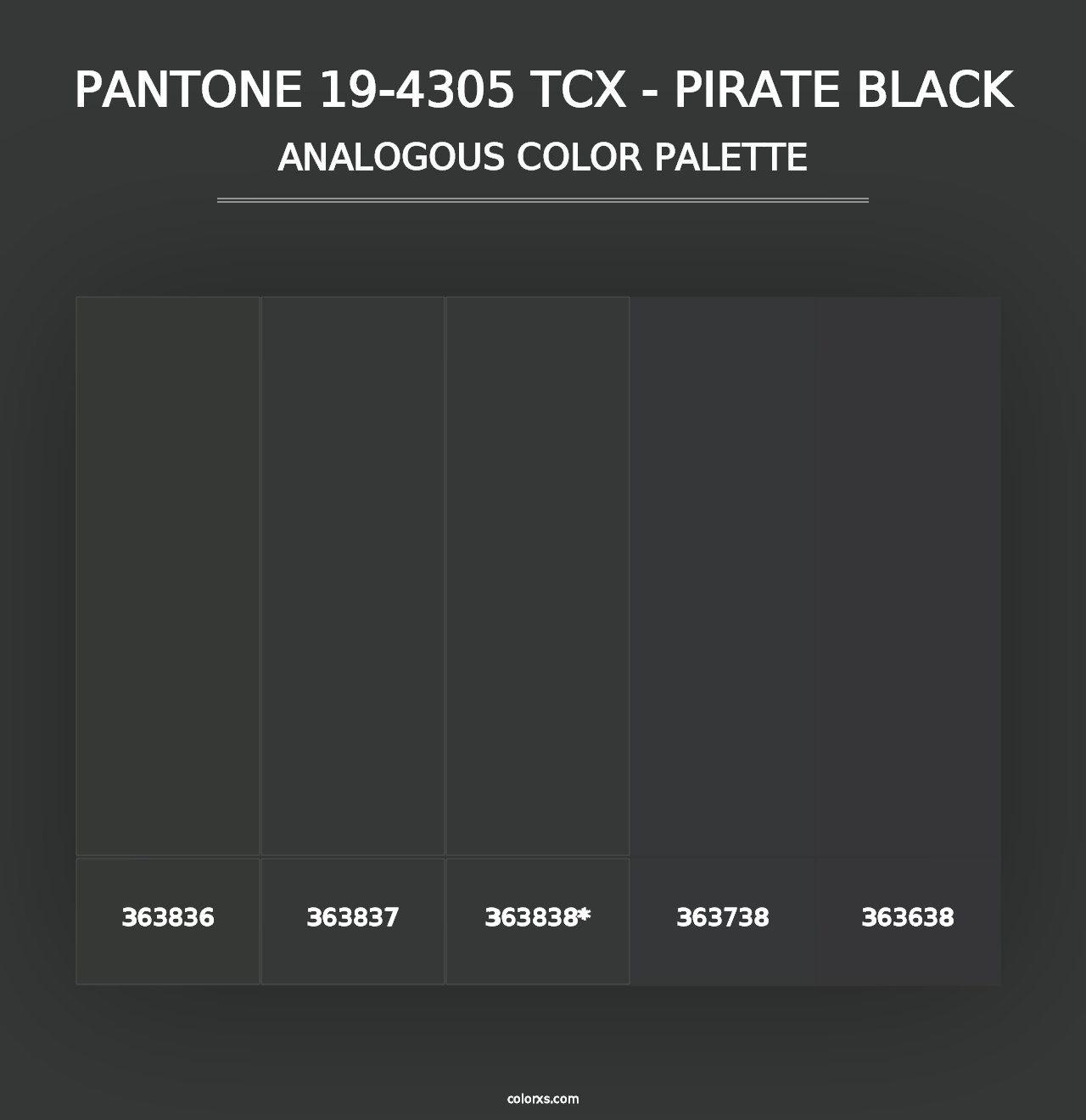 PANTONE 19-4305 TCX - Pirate Black - Analogous Color Palette