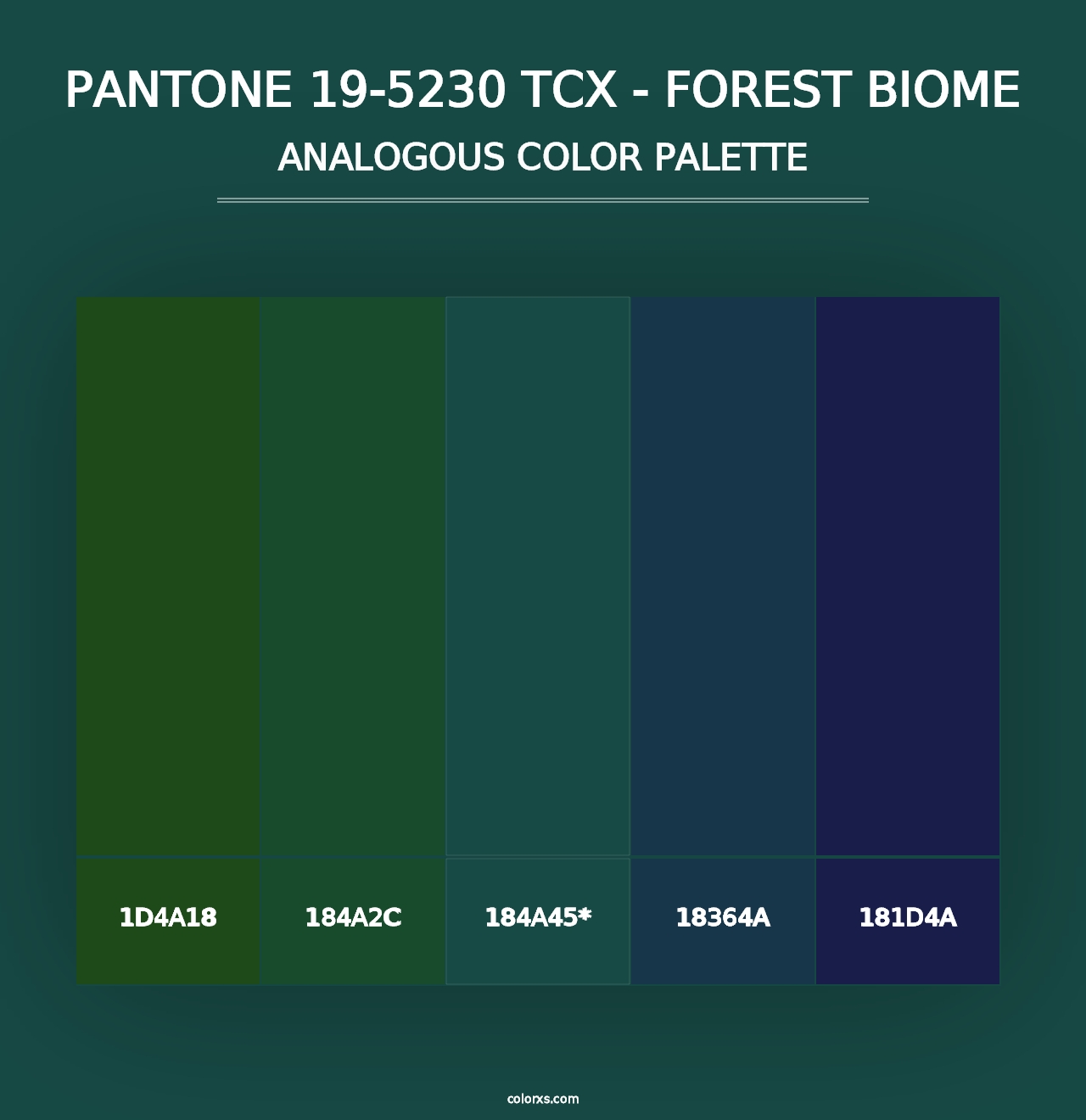 PANTONE 19-5230 TCX - Forest Biome - Analogous Color Palette