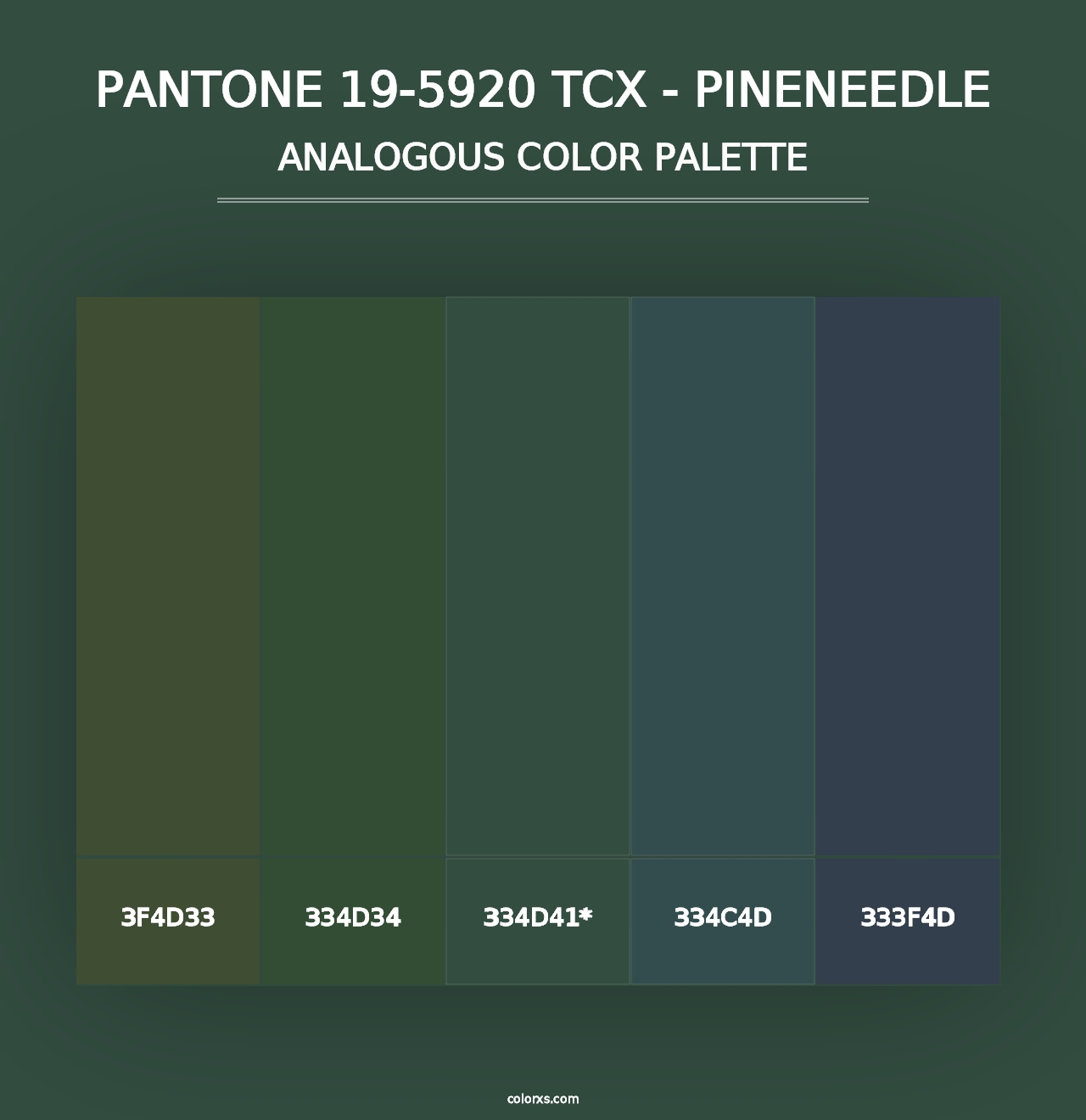 PANTONE 19-5920 TCX - Pineneedle - Analogous Color Palette