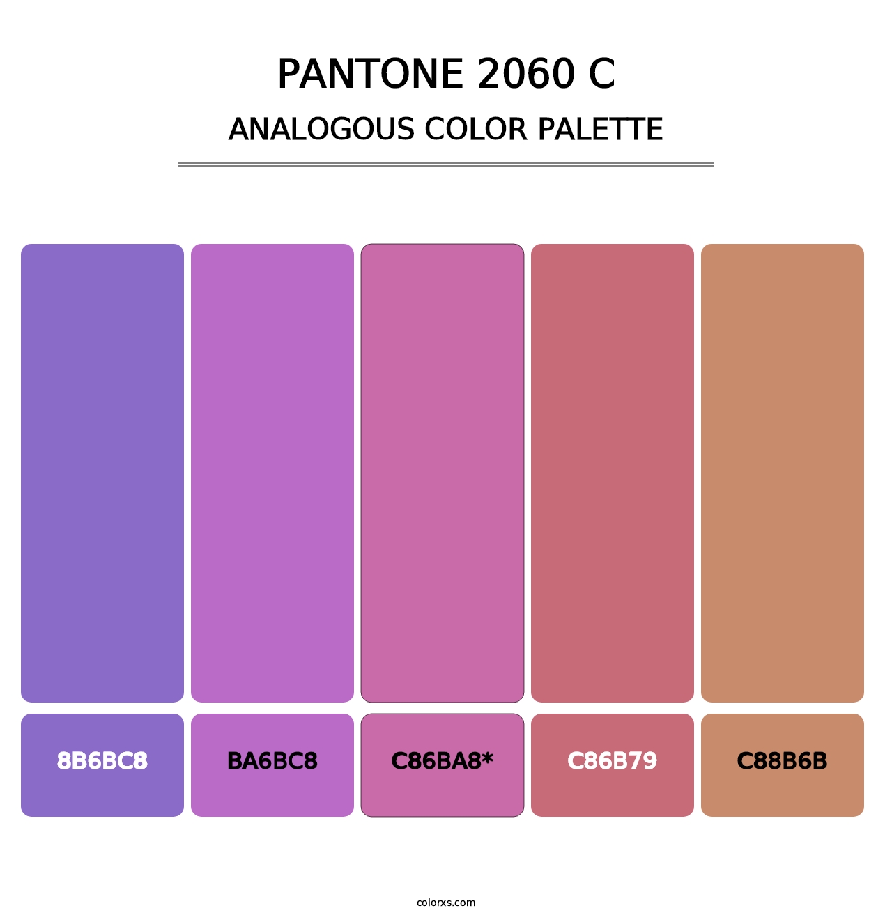 PANTONE 2060 C - Analogous Color Palette