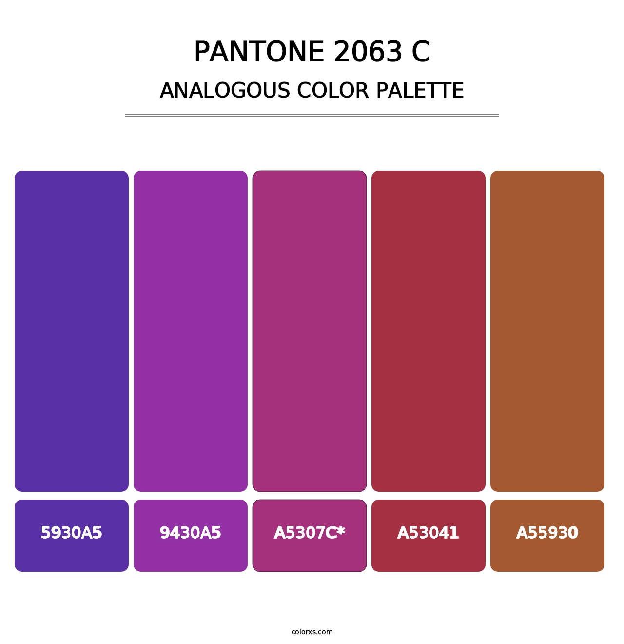 PANTONE 2063 C - Analogous Color Palette