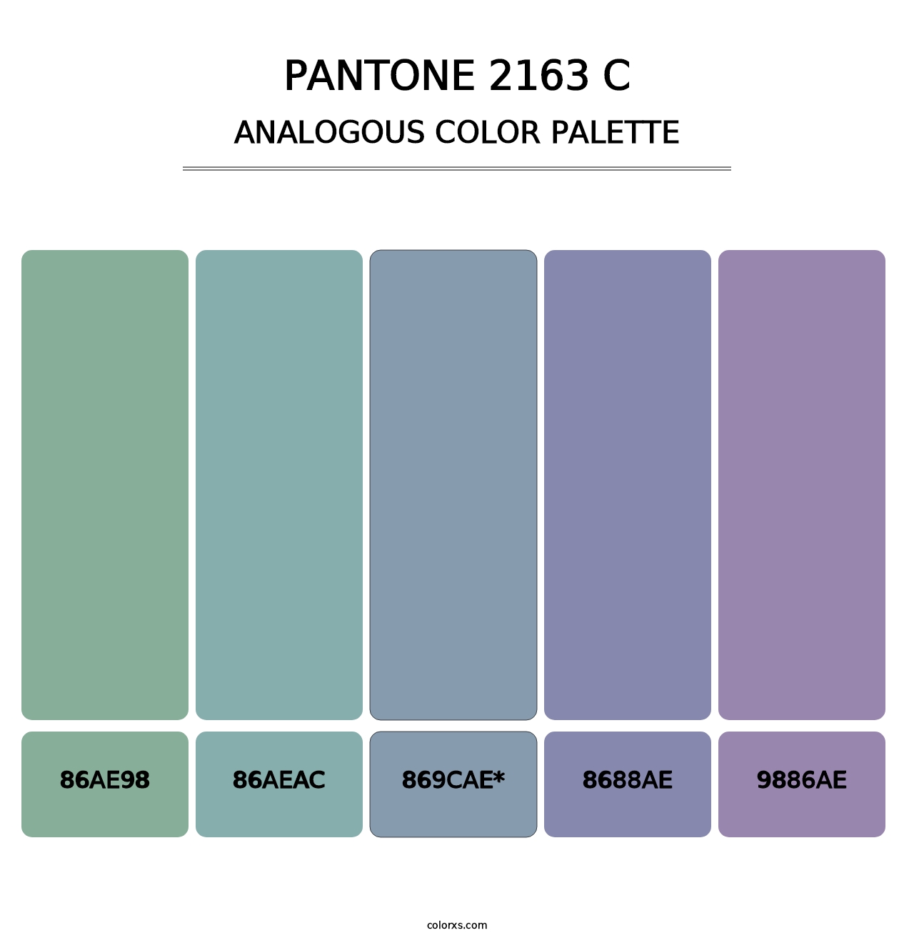 PANTONE 2163 C - Analogous Color Palette